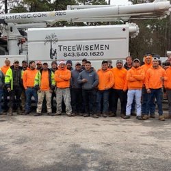 Treewisemen