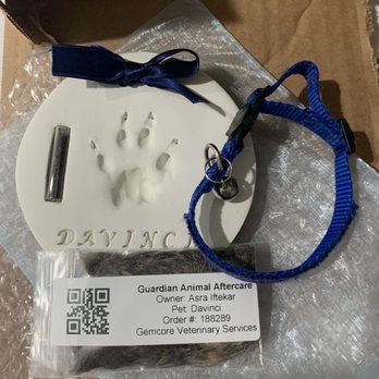 Gemcore Veterinary Services - Paw print Bow n fur - Veterinarians Near Me - Chatsworth, California