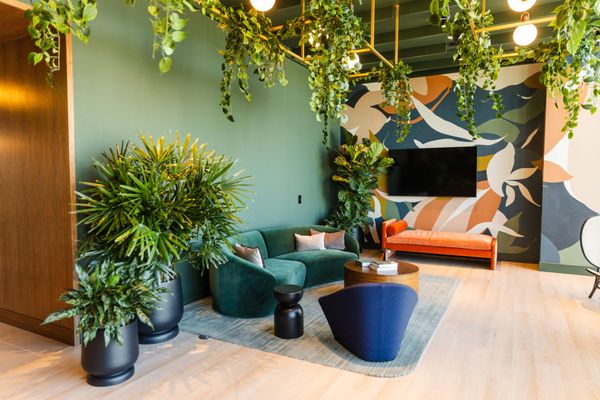 Sora at Spring Quarter by null