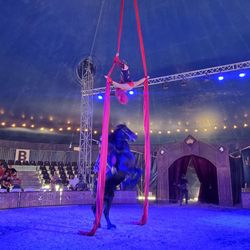 Horse/performer
