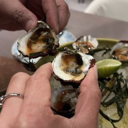 Raw oysters