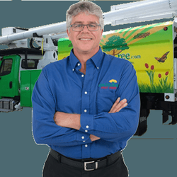 One Two Tree - One Two Tree Service in Miami