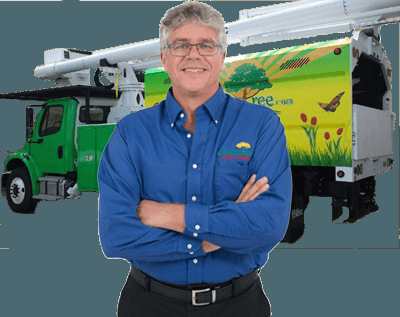 One Two Tree - tree service in Miami, FL