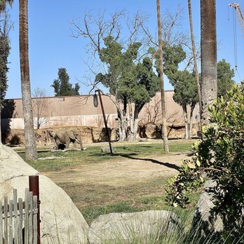 Fresno Chaffee Zoo - Zoos Near Me - Fresno, California Fresno Chaffee Zoo - Zoos Near Me - Fresno, California