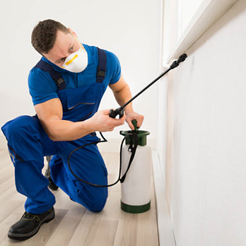 General Insurance Group Inc - Call for a quote on the Pest Control Insurance Program - Auto Insurance Near Me - Gaithersburg, Maryland General Insurance Group Inc - Call for a quote on the Pest Control Insurance Program - Auto Insurance Near Me - Gaithersburg, Maryland
