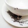 Photo of AmeriGuard Extermination