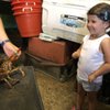 Alewive's Brook Farm gift card
