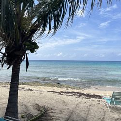 Spratnet Beach Bar & Grill - The VIEW while eating