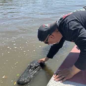 Airboat Adventures - Boat Tours Near Me - Lafitte, Louisiana Airboat Adventures - Boat Tours Near Me - Lafitte, Louisiana