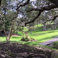 Western Park