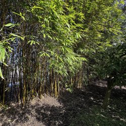 Botanical Gardens