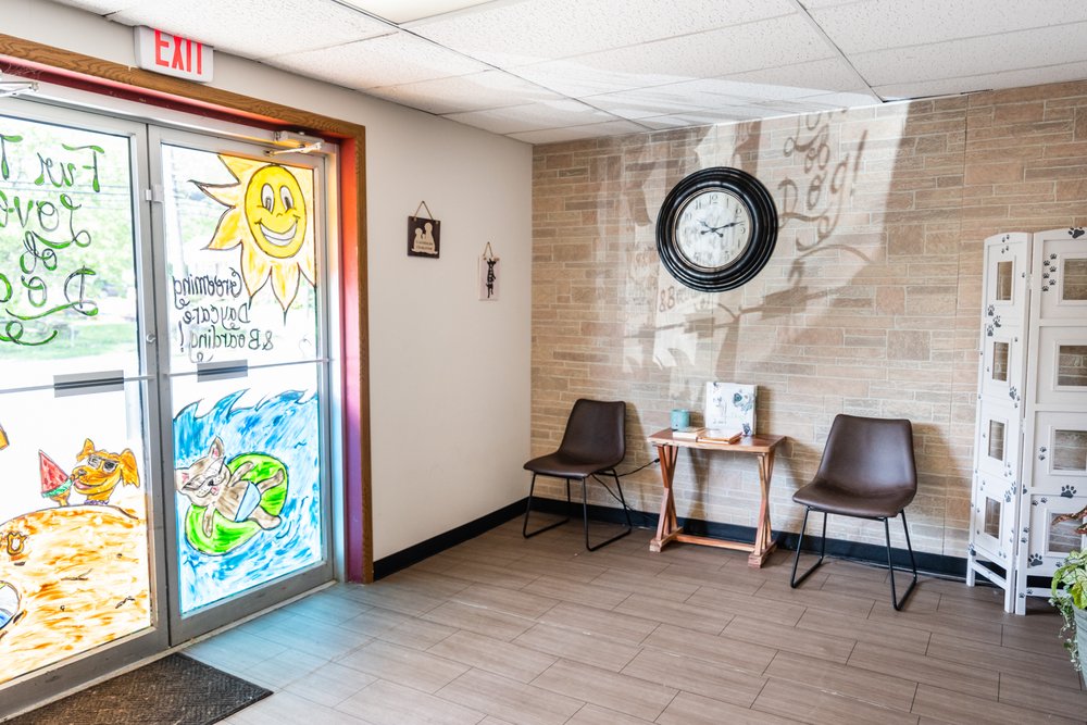 FUR THE LOVE OF DOG! 14 Photos Pet Groomers 212 London Rd