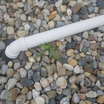 Tholens' Landscape & Garden Center - plant growing out of a pipe - Nurseries & Gardening Near Me - Bourbonnais, Illinois Tholens' Landscape & Garden Center - plant growing out of a pipe - Nurseries & Gardening Near Me - Bourbonnais, Illinois