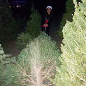 Garlock Tree Farm - Christmas Trees Near Me - Sebastopol, California