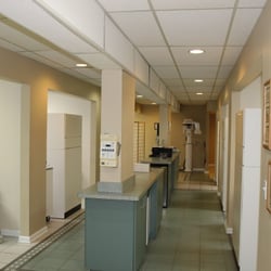 Bay Area Dental