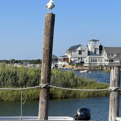 Green Harbor Lobster Pound - A picturesque view