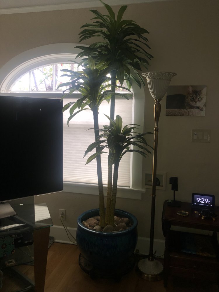 “SILK” THE ART OF ARTIFICIAL Updated August 2024 14 Photos & 19