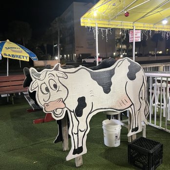 Moo's Soft Serve - Ice Cream & Frozen Yogurt Near Me - Indialantic, Florida