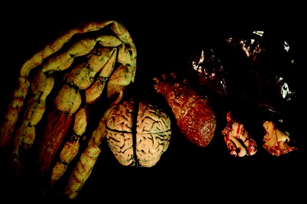 Dapper Cadaver by null