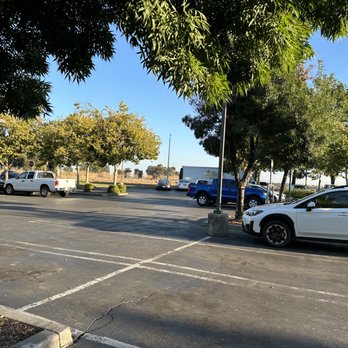 Oak Tree Plaza - Park your pizzle here. - Shopping Centers Near Me - Davis, California Oak Tree Plaza - Park your pizzle here. - Shopping Centers Near Me - Davis, California