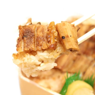 Anagomeshi Ueno あなごめしうえの by null