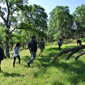 West Coast Falconry - Specialty Schools Near Me - Marysville, California West Coast Falconry - Specialty Schools Near Me - Marysville, California
