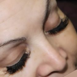 The Lash Expert