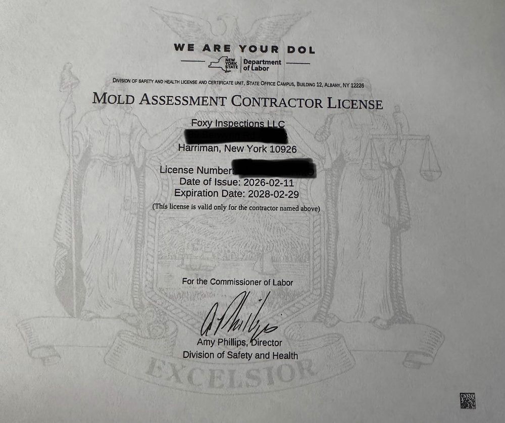Foxy Inspections - mold inspector in Monroe, NY
