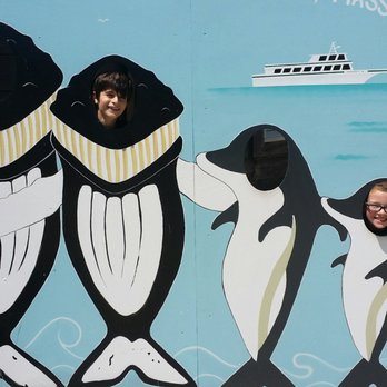 7 Seas Whale Watch - Whale Watching Tours Near Me - Gloucester, Massachusetts
