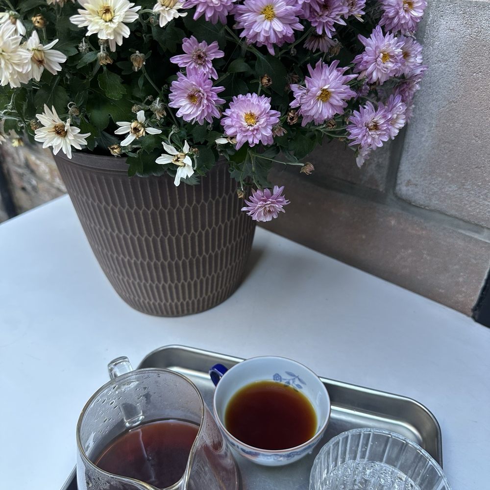 Do Not Feed Alligators - Paradise Thermal Shock pour over - Bookstores Near Me - New York, New York Do Not Feed Alligators - Paradise Thermal Shock pour over - Bookstores Near Me - New York, New York