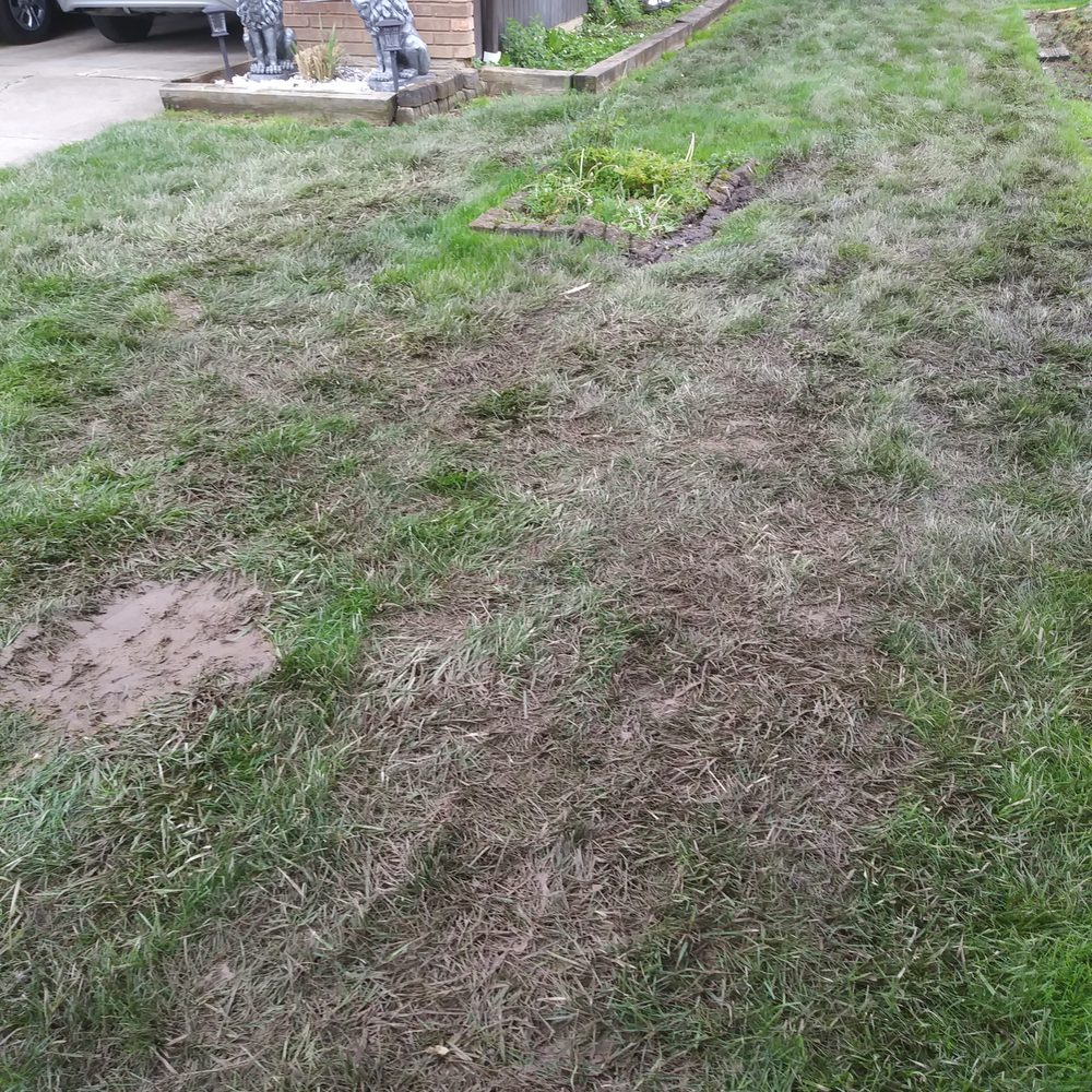 Cleveland Clean Sweep - Chimney Sweeps Near Me - Cleveland, Ohio Cleveland Clean Sweep - Chimney Sweeps Near Me - Cleveland, Ohio