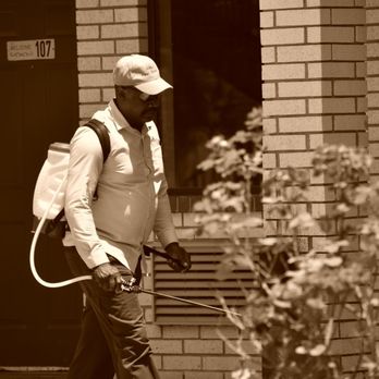 Armor Pest Control - Pest Control Near Me Armor Pest Control - Pest Control Near Me