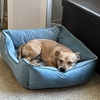 Joybound - Animal Shelters Near Me - Walnut Creek, California