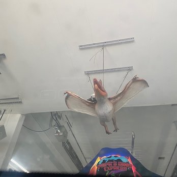 Papas Dino Express - As you enter the wash, LOOK UP! - Car Wash Near Me - Vernal, Utah