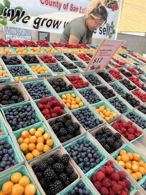 Toluca Lake Farmers Market by null