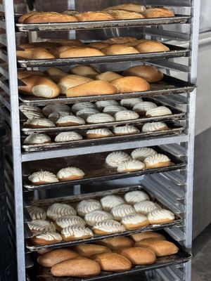 Delicias Bakery and Some by null Delicias Bakery and Some by null