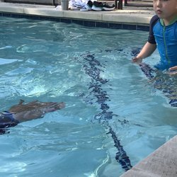Williamson County Infant Swim