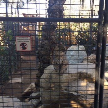 Wildlife Learning Center - Zoos Near Me - Sylmar, California