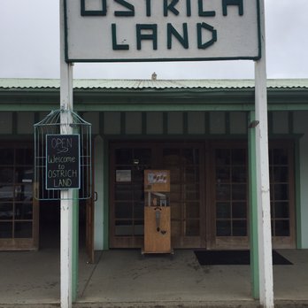 Ostrichland USA - Attraction Farms Near Me - Solvang, California