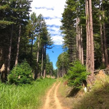 Green Diamond Trail - Hiking Near Me - Eureka, California