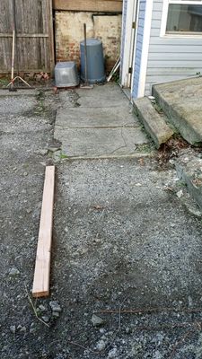 Mr Wonderful Handyman