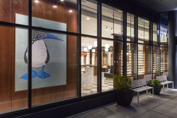 Warby Parker Shaw by null
