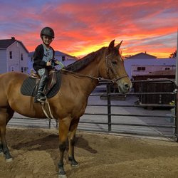 New York Equestrian Center