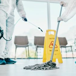 Elegant Care Cleaning