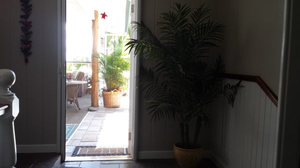 Orchid Tree Bed & Breakfast by null