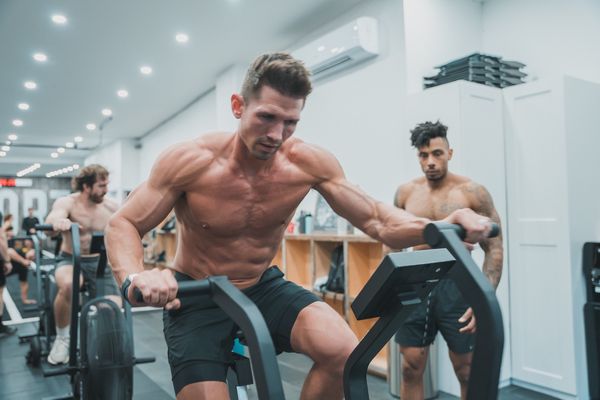 The Fort NYC by null