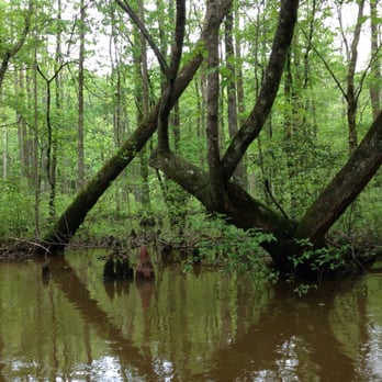Ghost River Outfitters - Rafting/Kayaking Near Me - Moscow, Tennessee