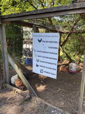 HILLVIEW FARMS - 76 Photos & 54 Reviews - 223 Meyersville Rd, Gillette