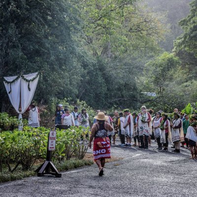 Waimea Valley by null
