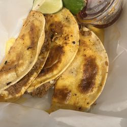 Cactus Flower - Birria tacos